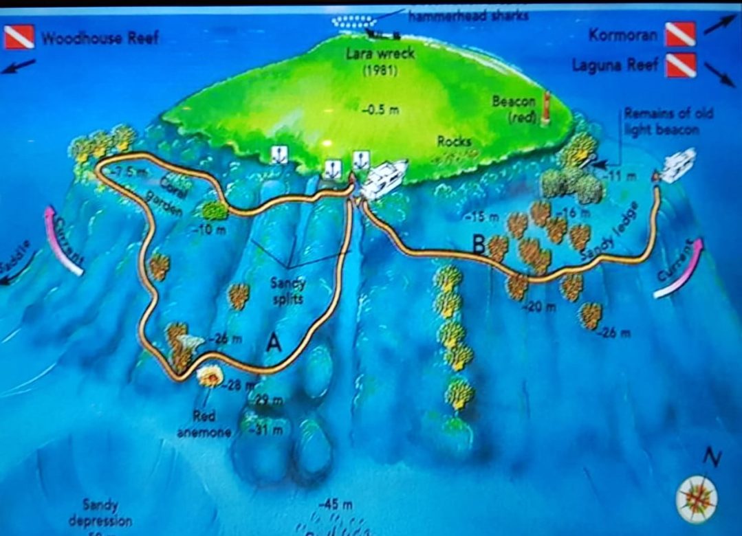 Ruta Nnorte del Mar Rojo: Estrecho de Tiran: Jackson/ Gordon/ Thomas Reef