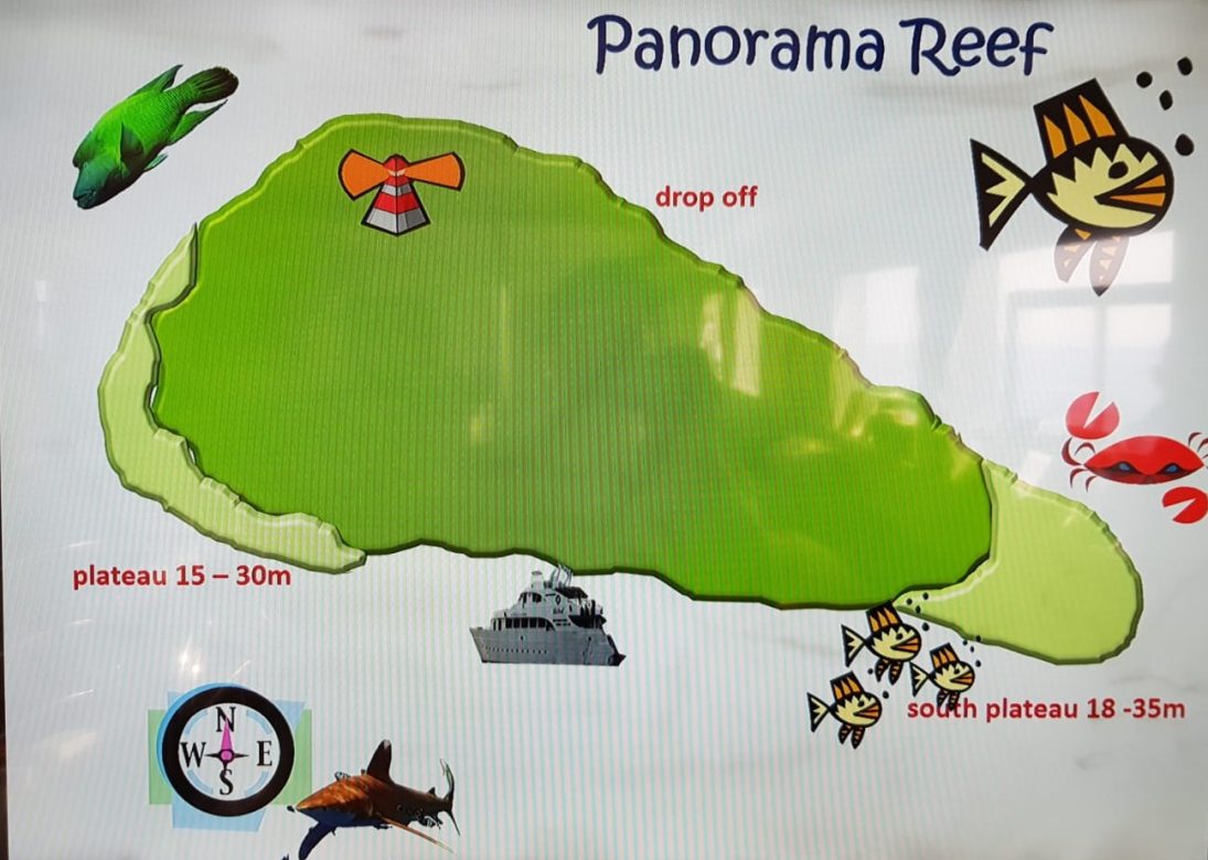 Ruta Norte en el Mar Rojo: Panorama Reef dive site