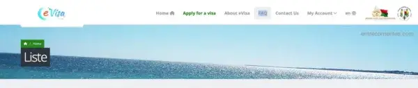 página oficial del Gobierno para solicitar la e-visa para Madagascar